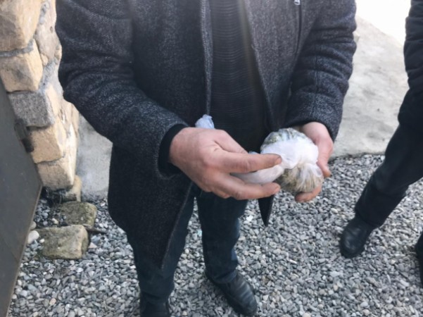 Ağsu sakini narkotiklə tutuldu - FOTO